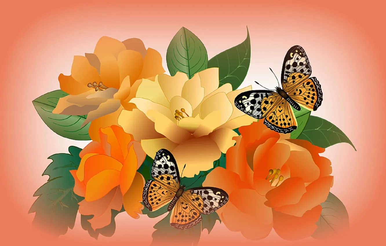 Photo wallpaper flowers, collage, butterfly, vector