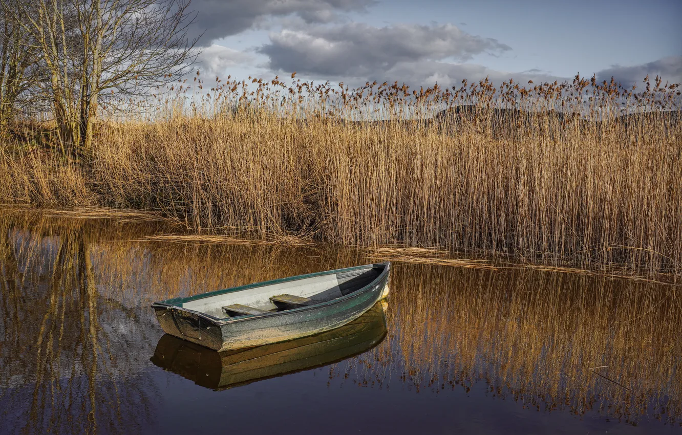 Photo wallpaper river, boat, reed