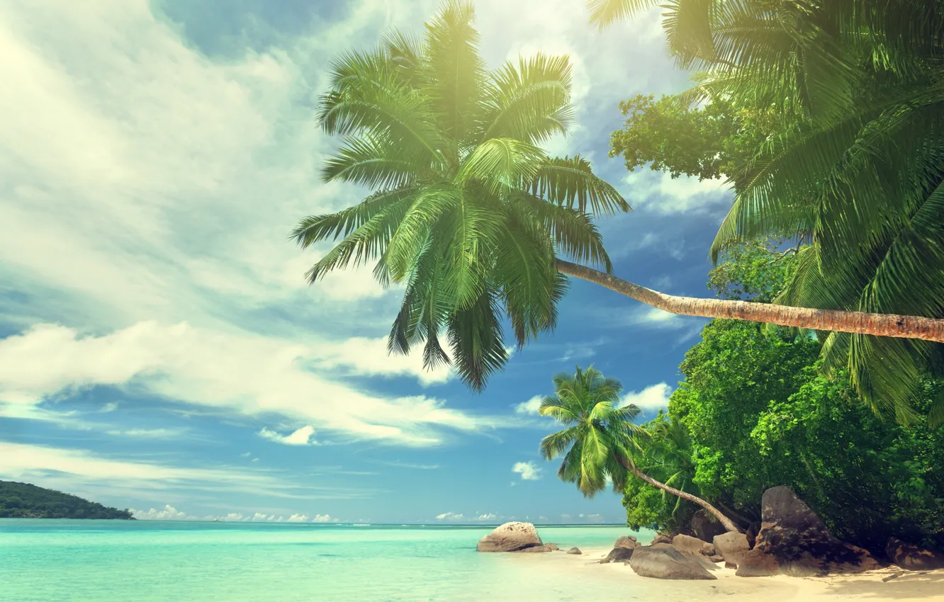 Photo wallpaper beach, summer, the sky, clouds, nature, tropics, stones, palm trees