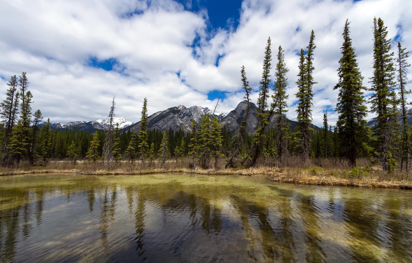 Photo wallpaper Canada, Albert, Alberta, Canada, Sulphur Mountain