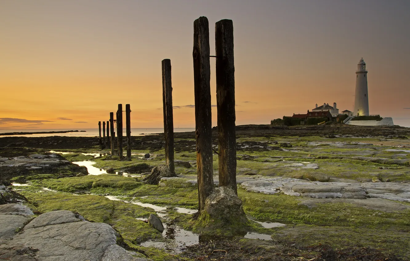 Photo wallpaper sand, algae, landscape, lighthouse, piles