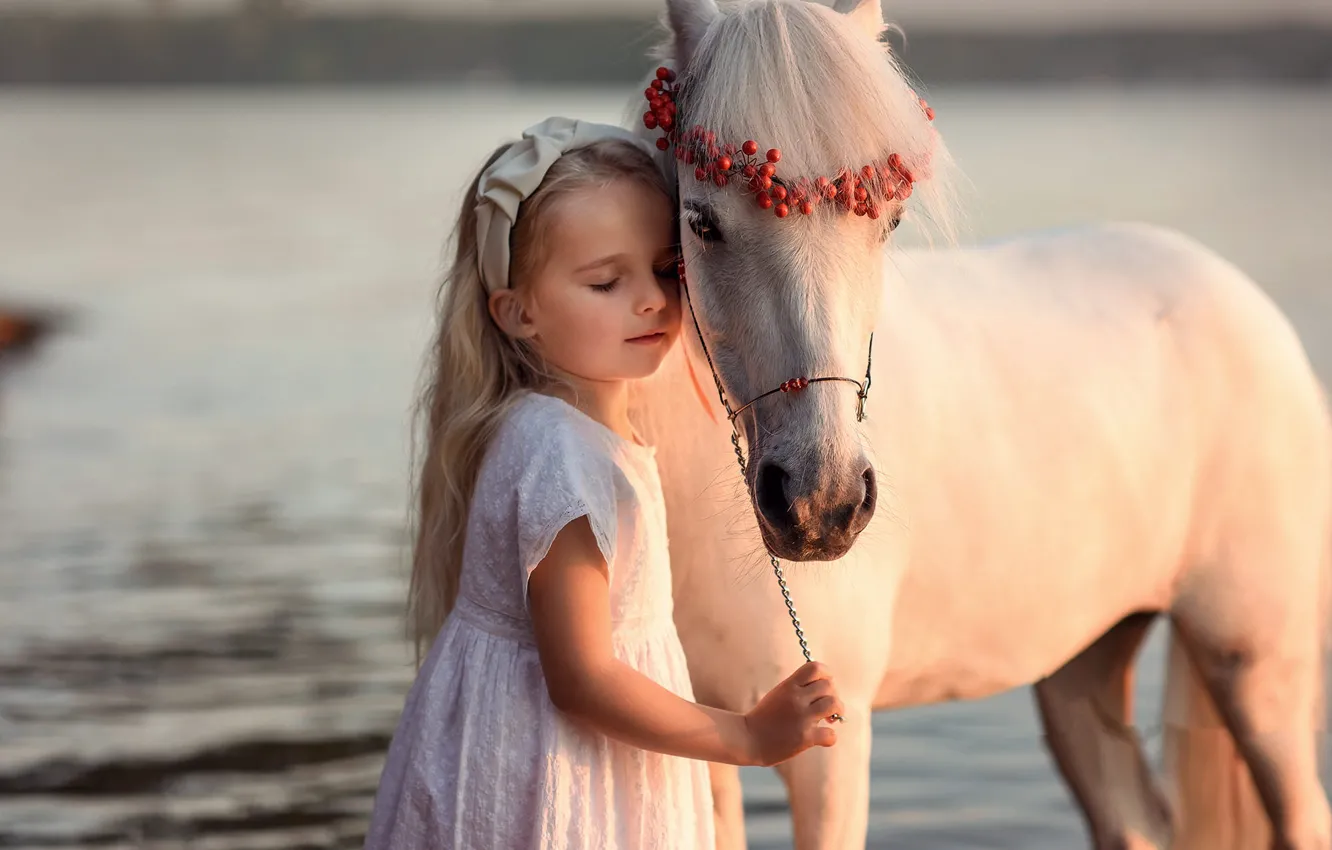 Photo wallpaper horse, horse, girl, pony
