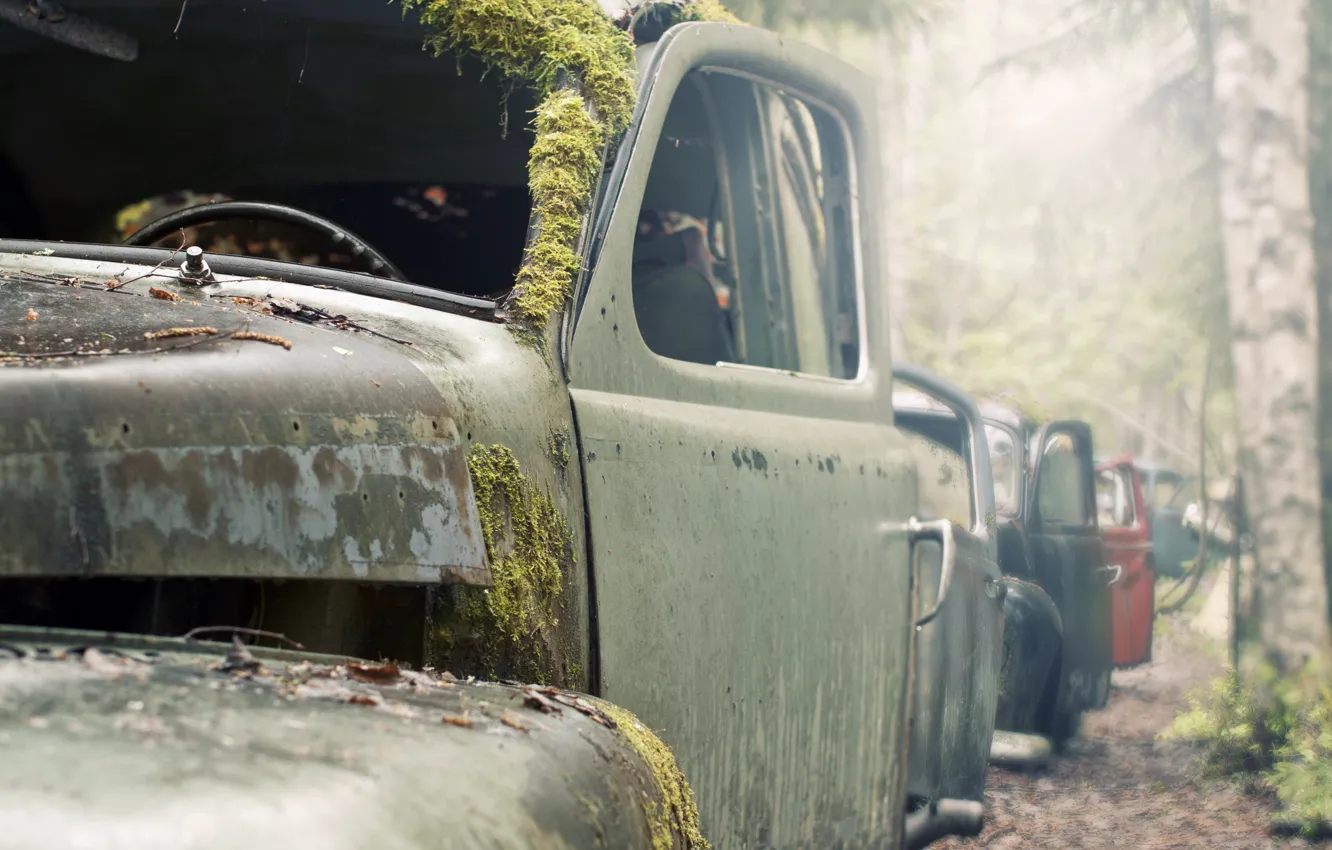 Photo wallpaper machine, macro, moss, scrap