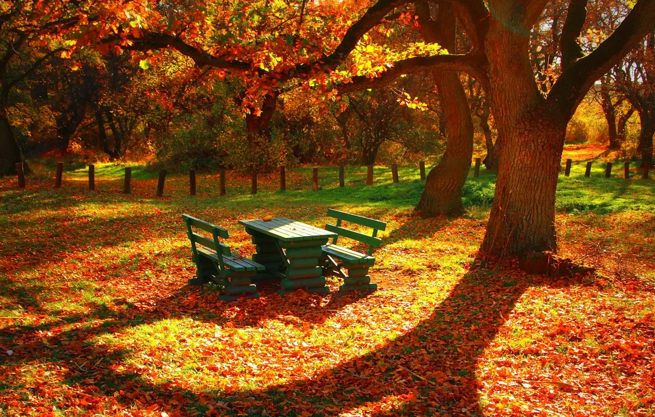 Photo wallpaper autumn, leaves, trees, bench, table, the fence