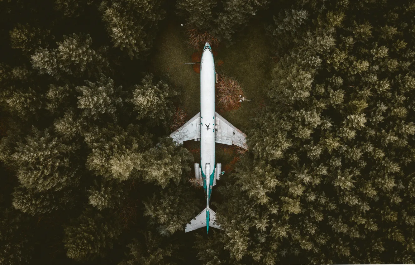 Photo wallpaper forest, The plane, pine, forest, Aircraft, pines