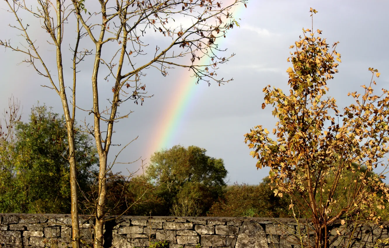 Photo wallpaper the sky, trees, stones, wall, foliage, rainbow