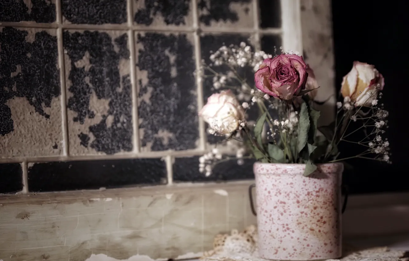 Photo wallpaper flowers, background, pot
