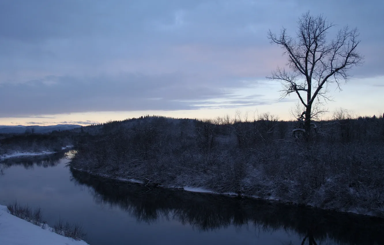 Photo wallpaper winter, snow, trees, river