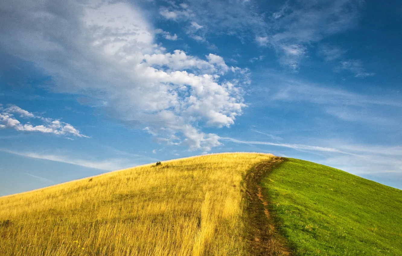 Photo wallpaper greens, the sky, grass, rye, hill, summer vs autumn