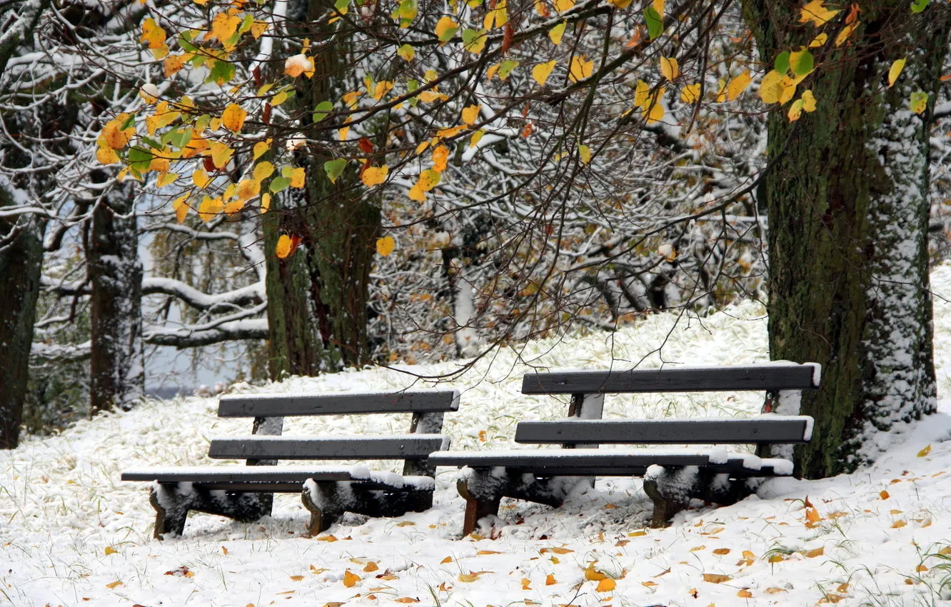 Photo wallpaper winter, snow, benches