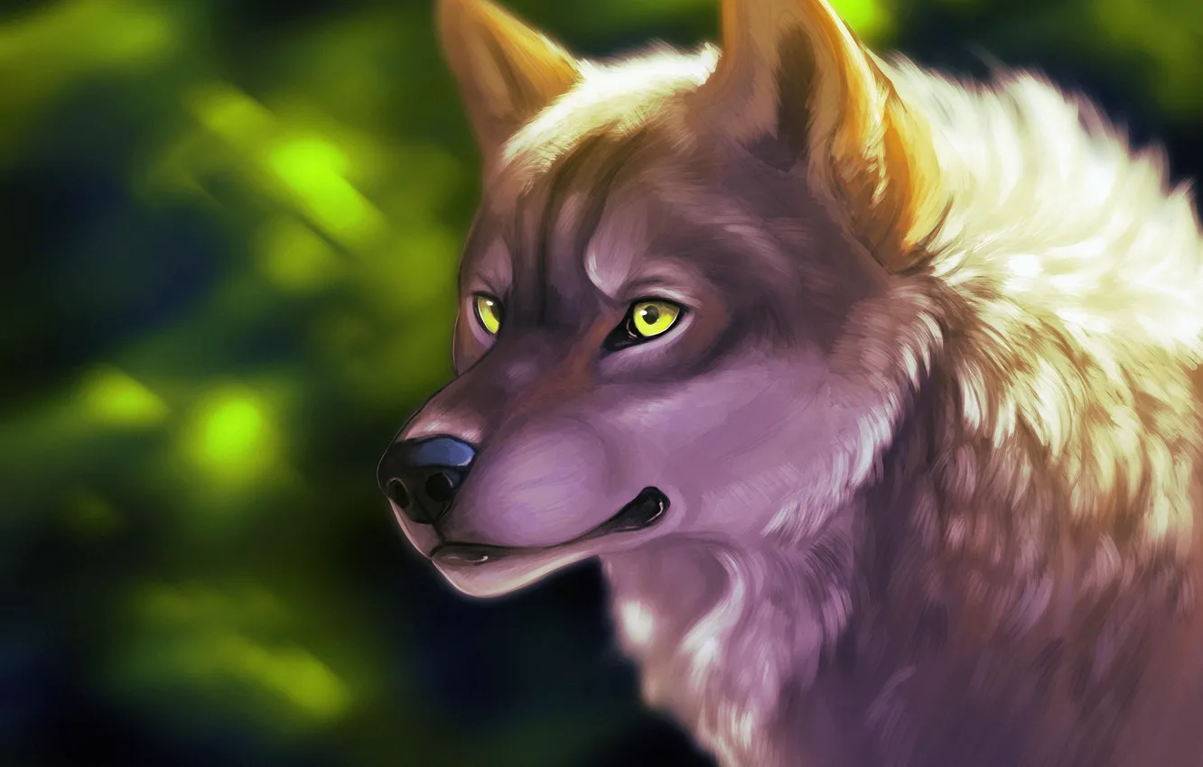 Photo wallpaper wolf, green eyes, by ClimbToTheStars