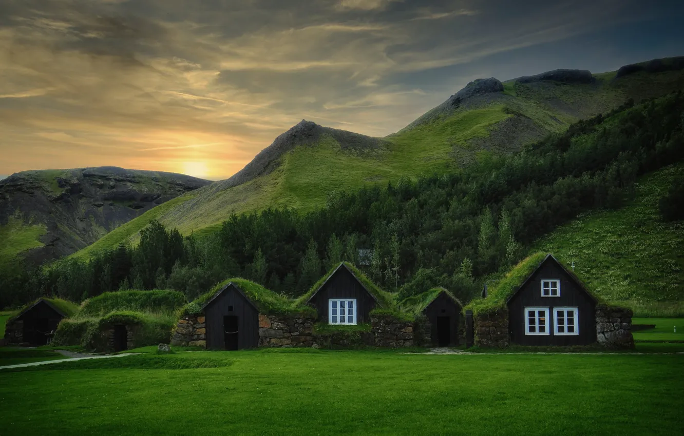 Photo wallpaper roof, greens, field, forest, the sky, grass, the sun, clouds