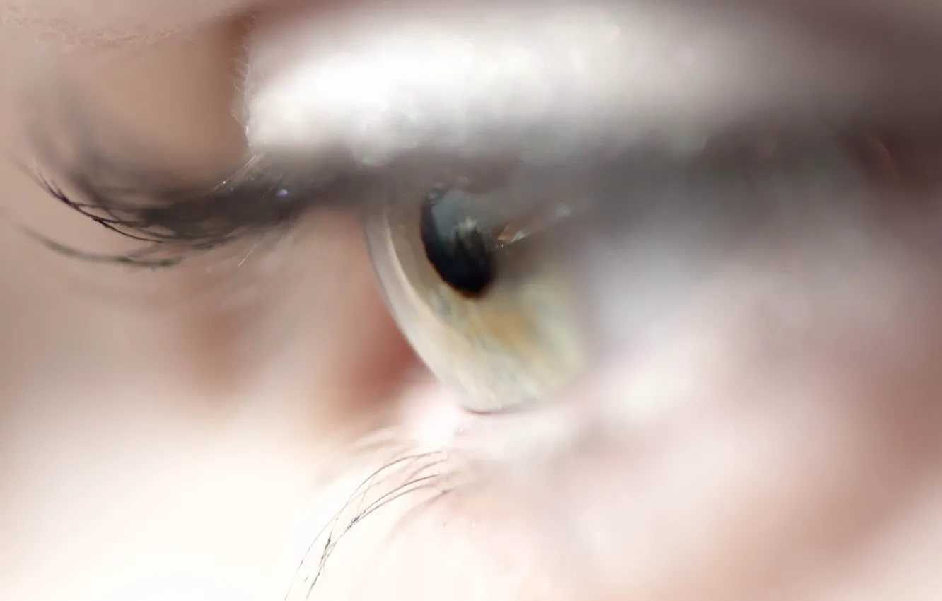 Photo wallpaper eyes, macro, background