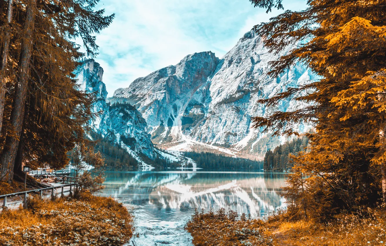 Photo wallpaper trees, mountains, lake, trees, mountains, lake