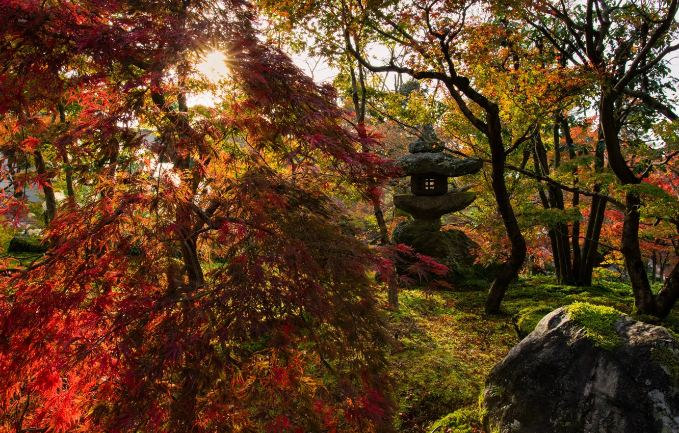 Photo wallpaper autumn, the sun, rays, landscape, nature, Park, stones, Japan