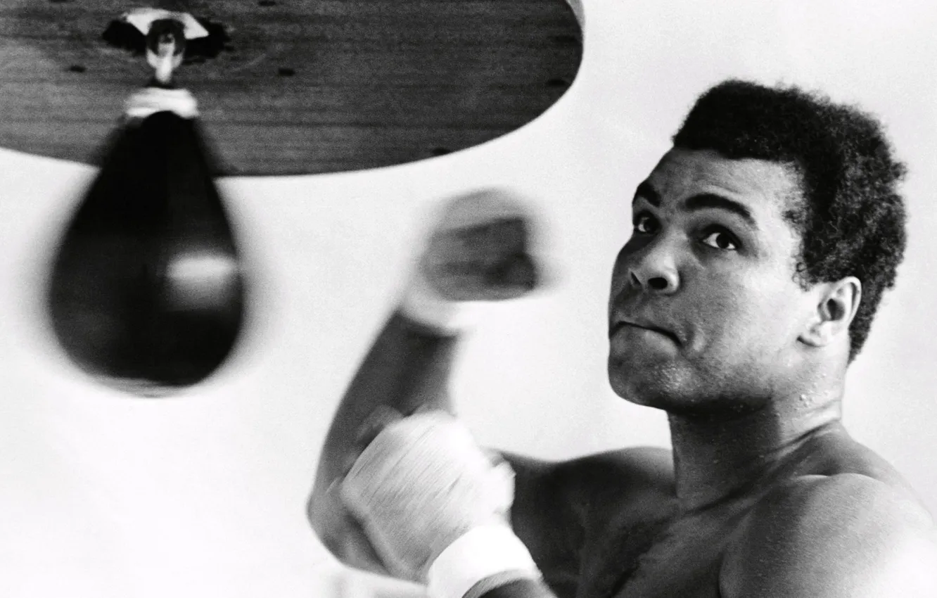 Photo wallpaper black and white, legend, Muhammad Ali, boxer, Cassius Clay