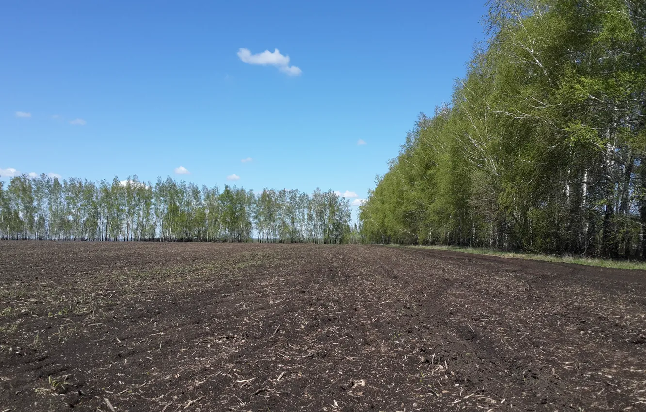 Photo wallpaper field, nature, landing, black earth