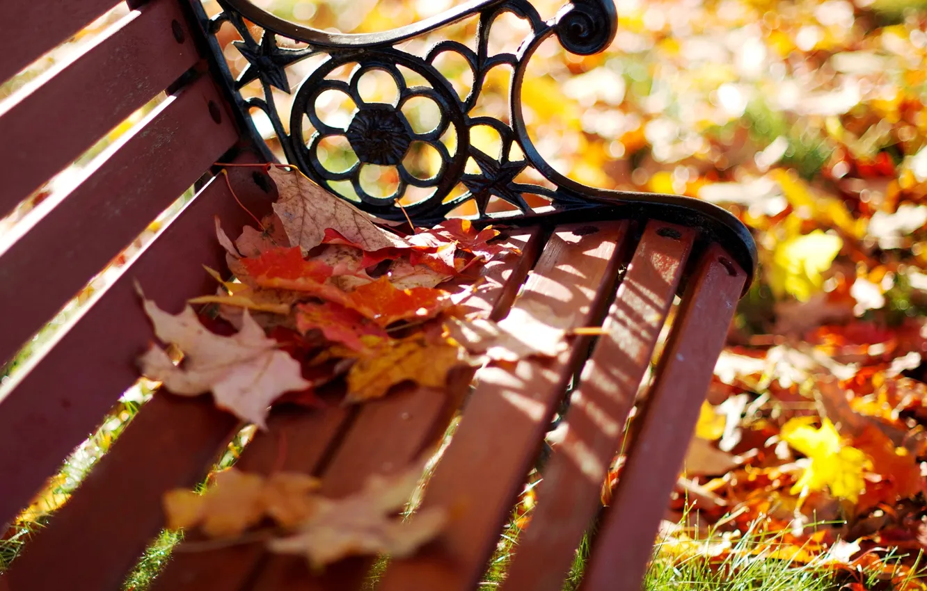 Photo wallpaper autumn, leaves, macro, bench, Park, yellow, blur, shop