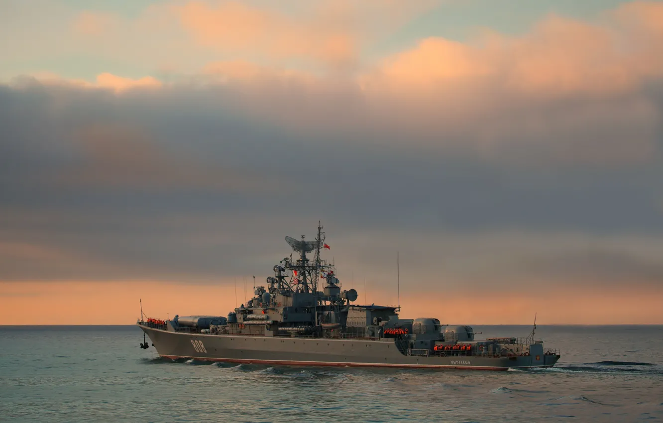 Photo wallpaper ship, guard, inquisitive