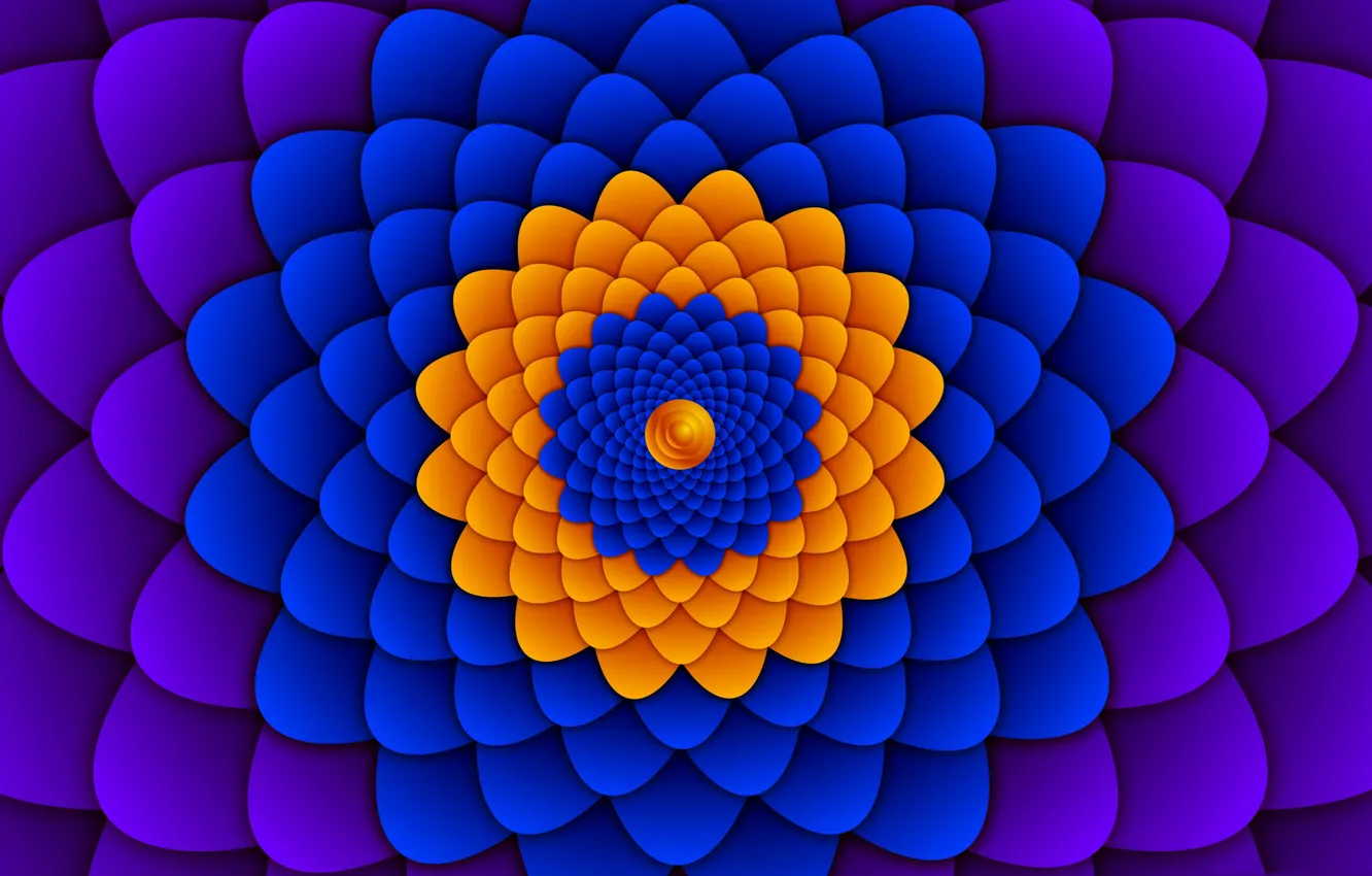 Photo wallpaper flower, movement, pattern, the volume, optical illusion
