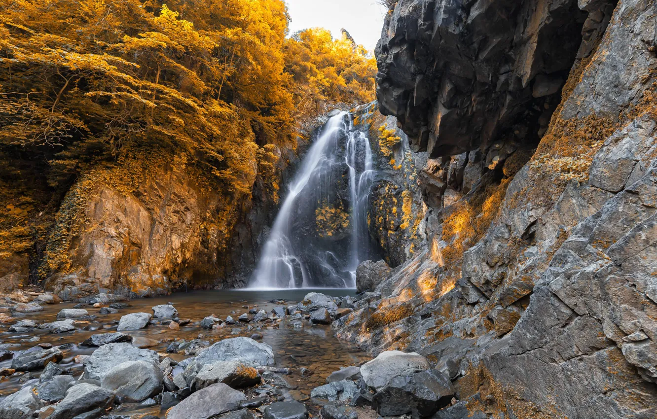 Photo wallpaper autumn, forest, trees, stones, rocks, waterfall, yellow, pond