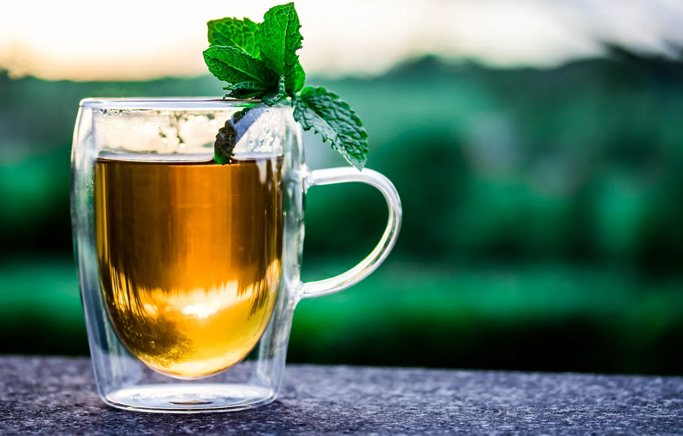Photo wallpaper tea, Cup, drink, mint
