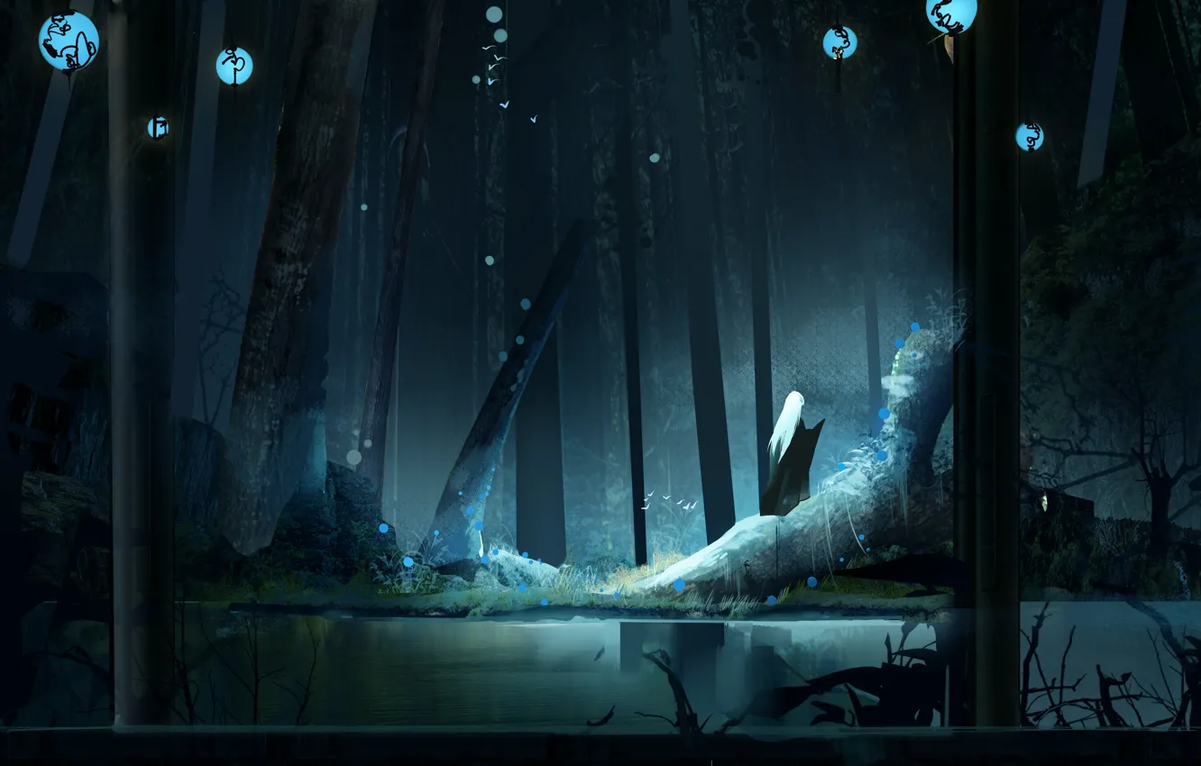 Photo wallpaper forest, night, people