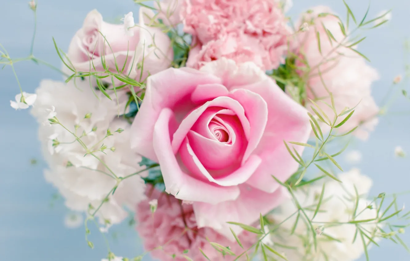 Photo wallpaper flowers, pink, rose, color, bouquet, light, rose, pink
