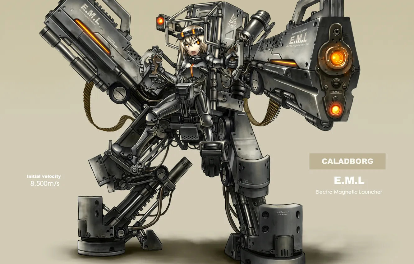 Photo wallpaper gun, caladborg, the exoskeleton, exoskeleton