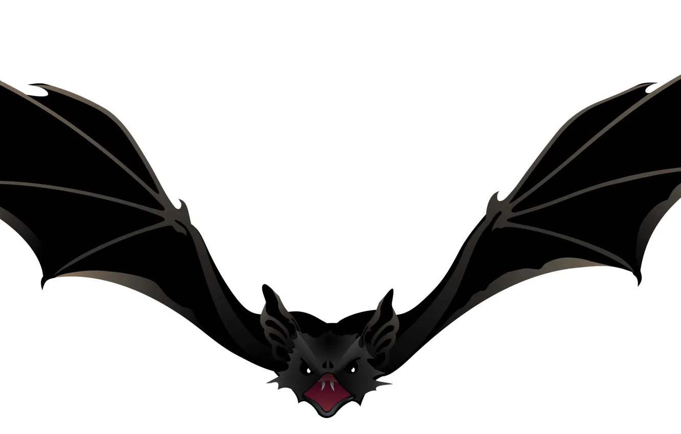 Photo wallpaper background, wings, bat