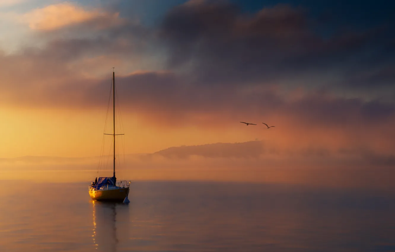 Photo wallpaper sea, boat, seagulls, sea, boat, seagulls, Cristiano Giani