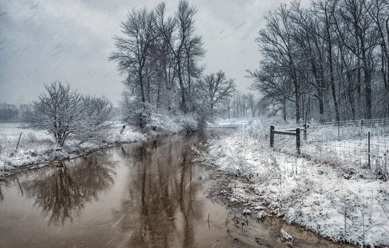 Photo wallpaper snow, trees, river