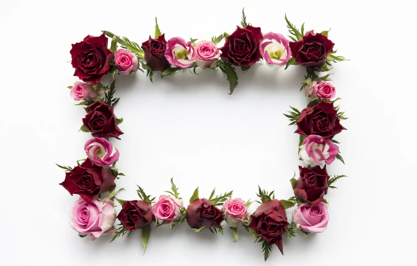 Photo wallpaper flowers, roses, red, pink, pink, flowers, roses, frame