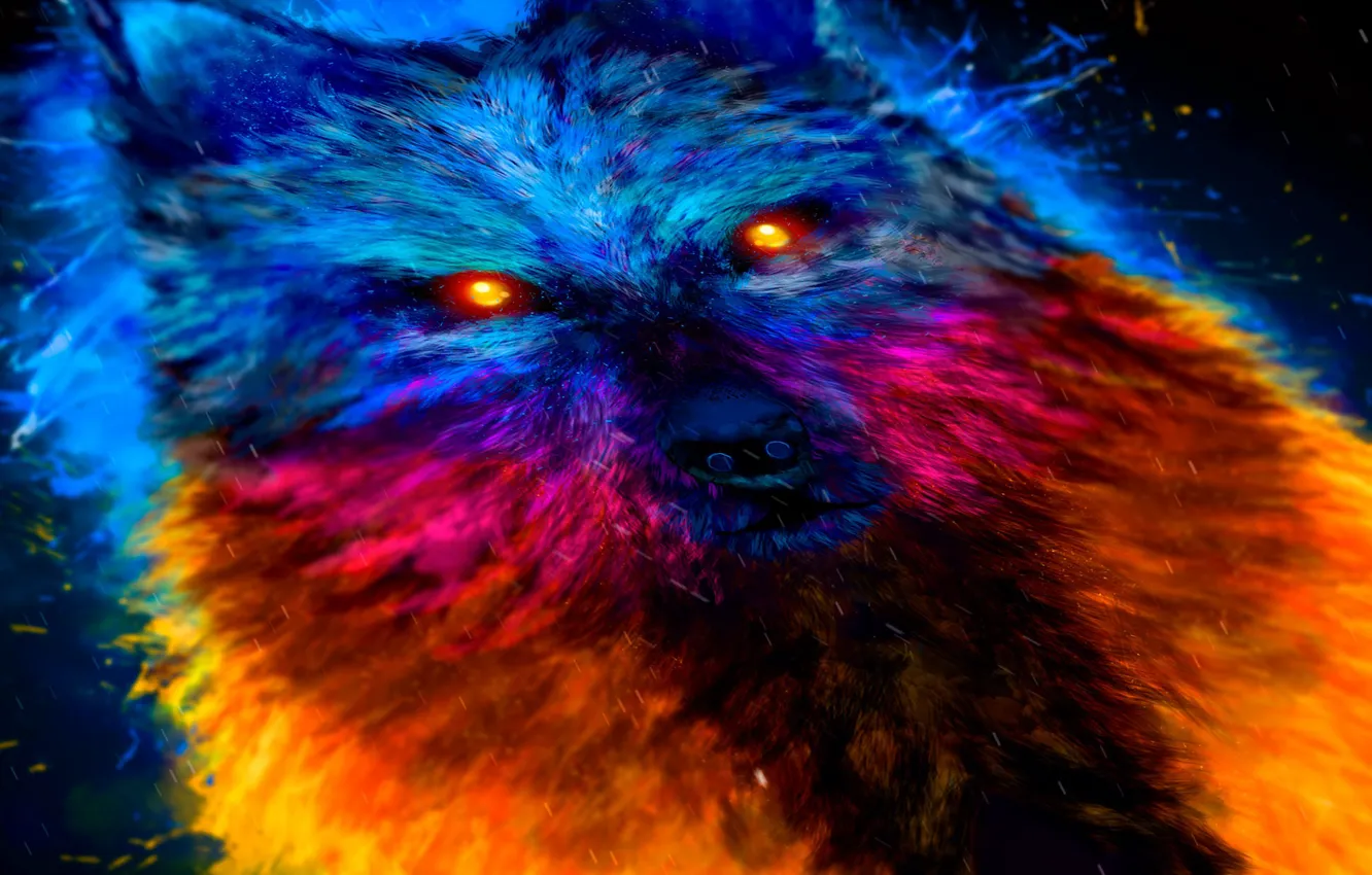 Photo wallpaper eyes, wolf, color