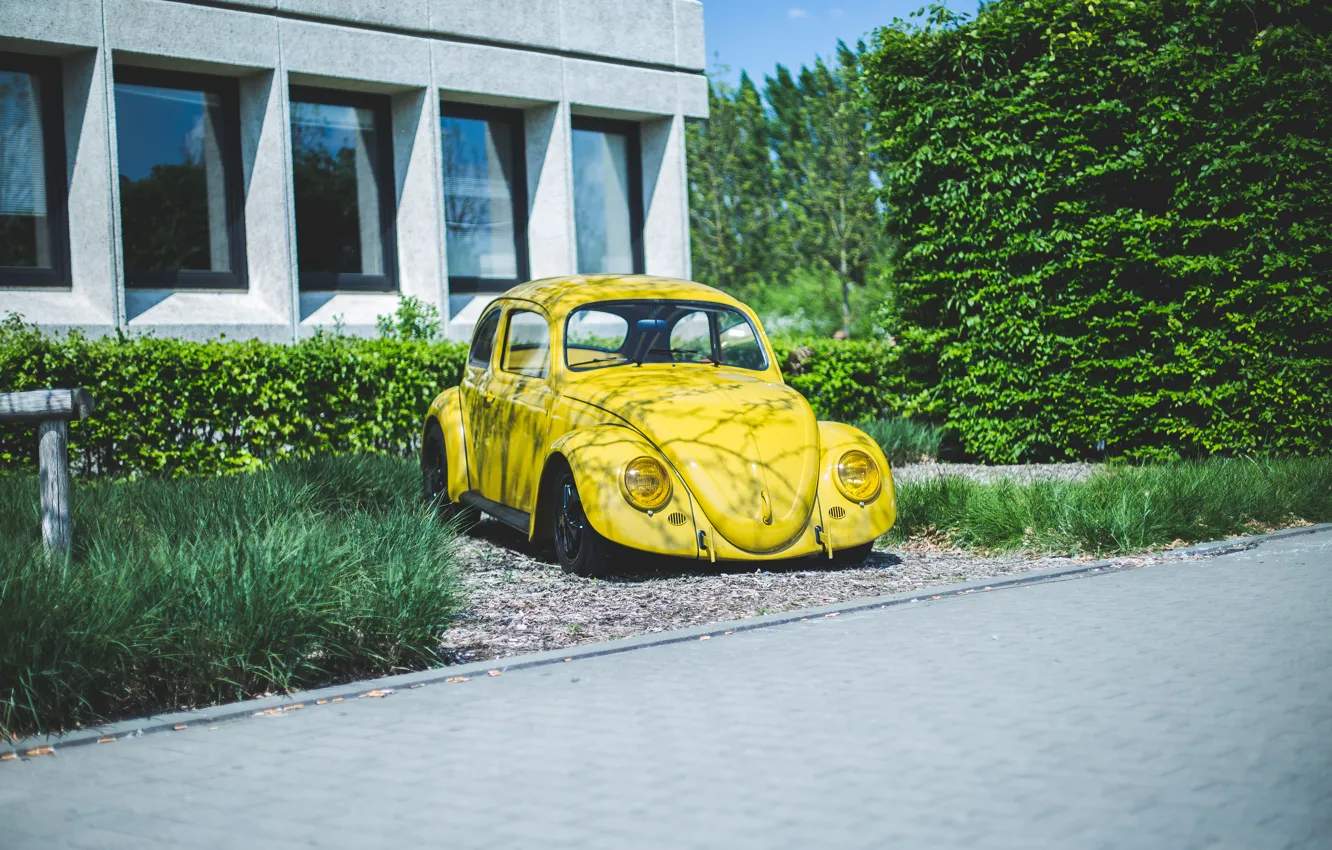 Photo wallpaper Volkswagen, Yellow, Beetle