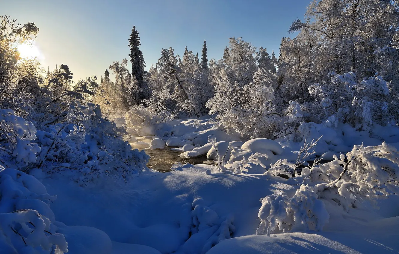 Photo wallpaper winter, snow, landscape