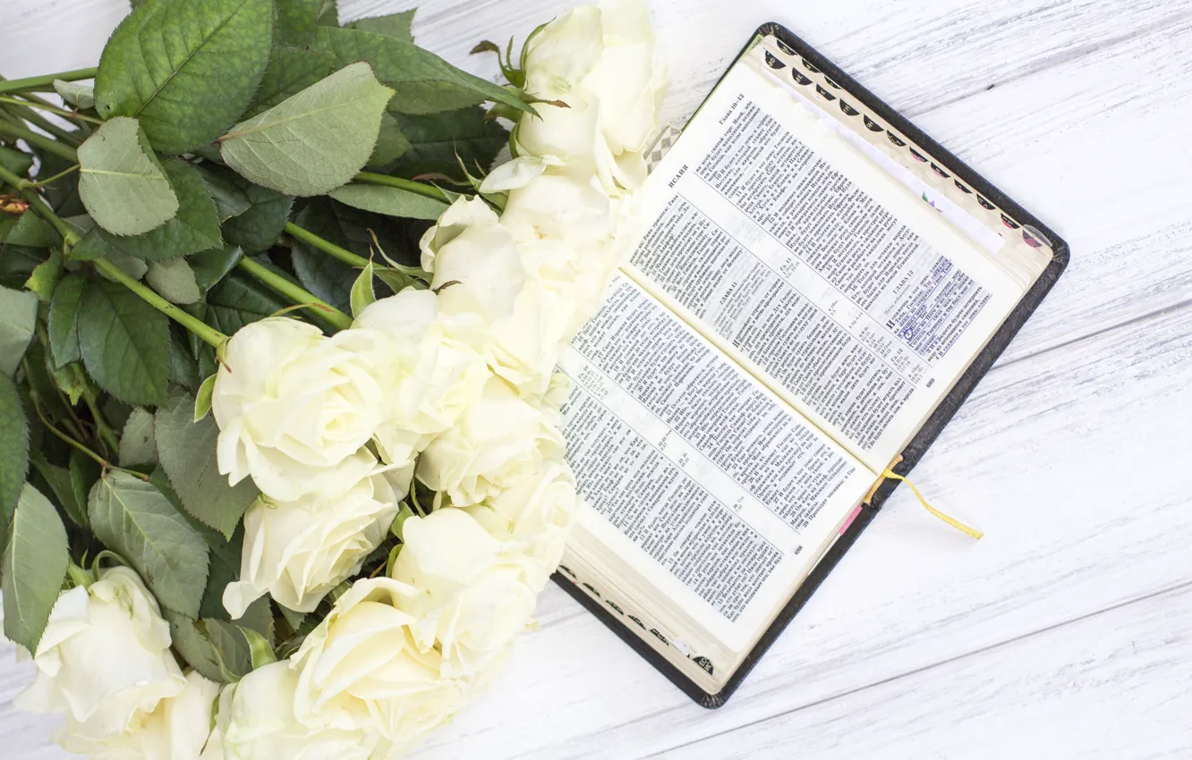 Photo wallpaper bouquet, book, buds, white roses