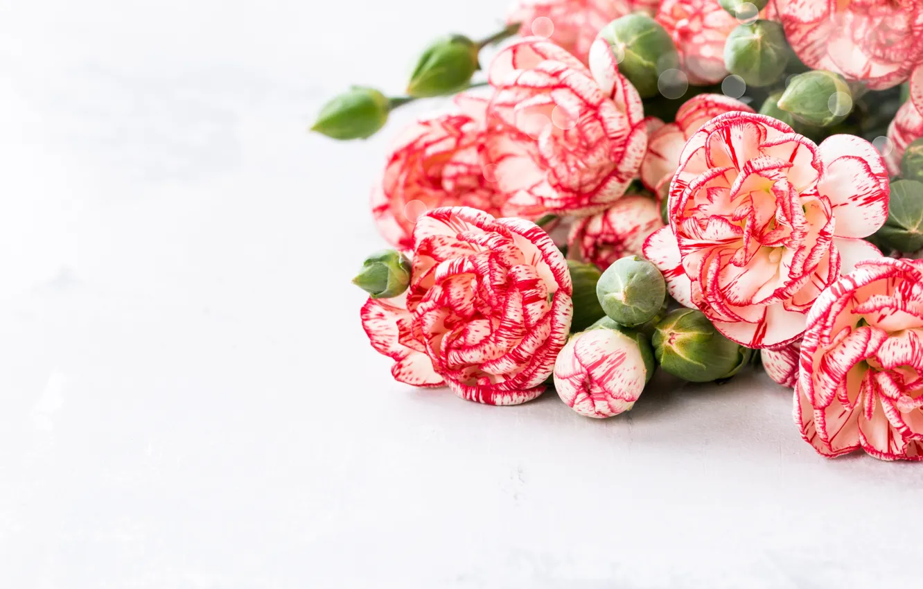 Photo wallpaper bouquet, pink, clove, Iryna Melnyk