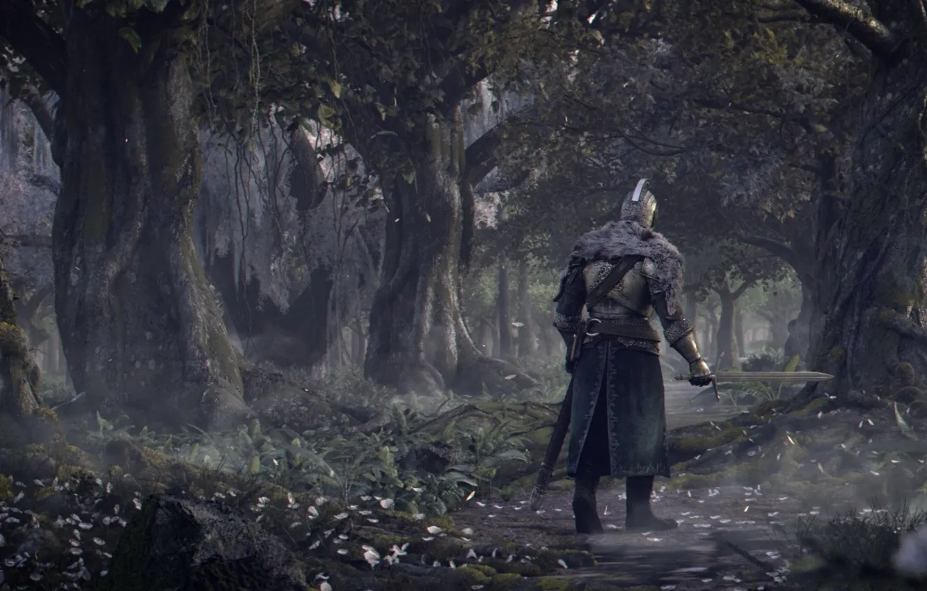Photo wallpaper game, armor, background, warrior, knight, Dark Souls 2