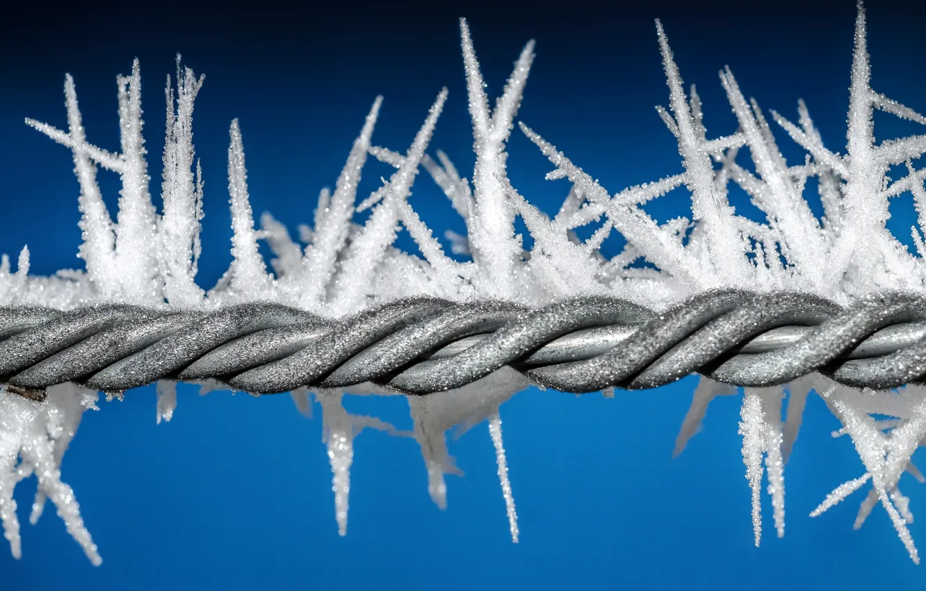 Photo wallpaper cold, frost, wire, frost, crystals