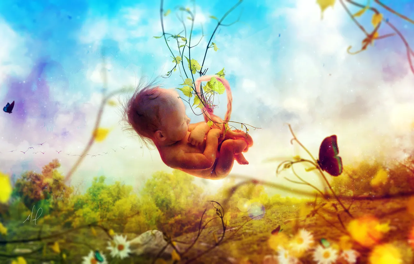 Photo wallpaper FOREST, NATURE, The SKY, CLOUDS, BABY, BUTTERFLY, FLOWERS, PACK