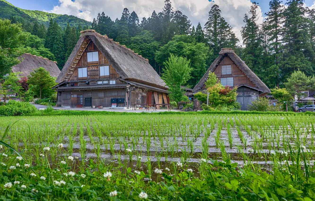 Photo wallpaper field, houses, figure