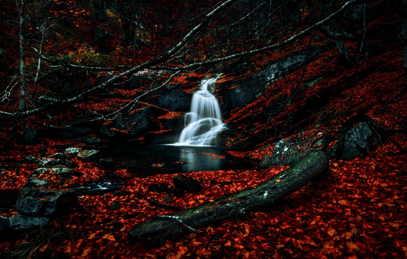 Photo wallpaper autumn, nature, river