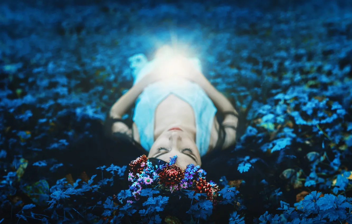 Photo wallpaper girl, light, flowers, mood