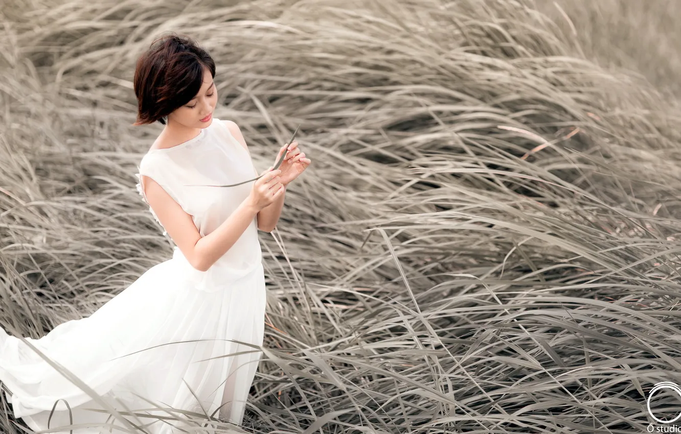 Photo wallpaper field, summer, girl, beauty