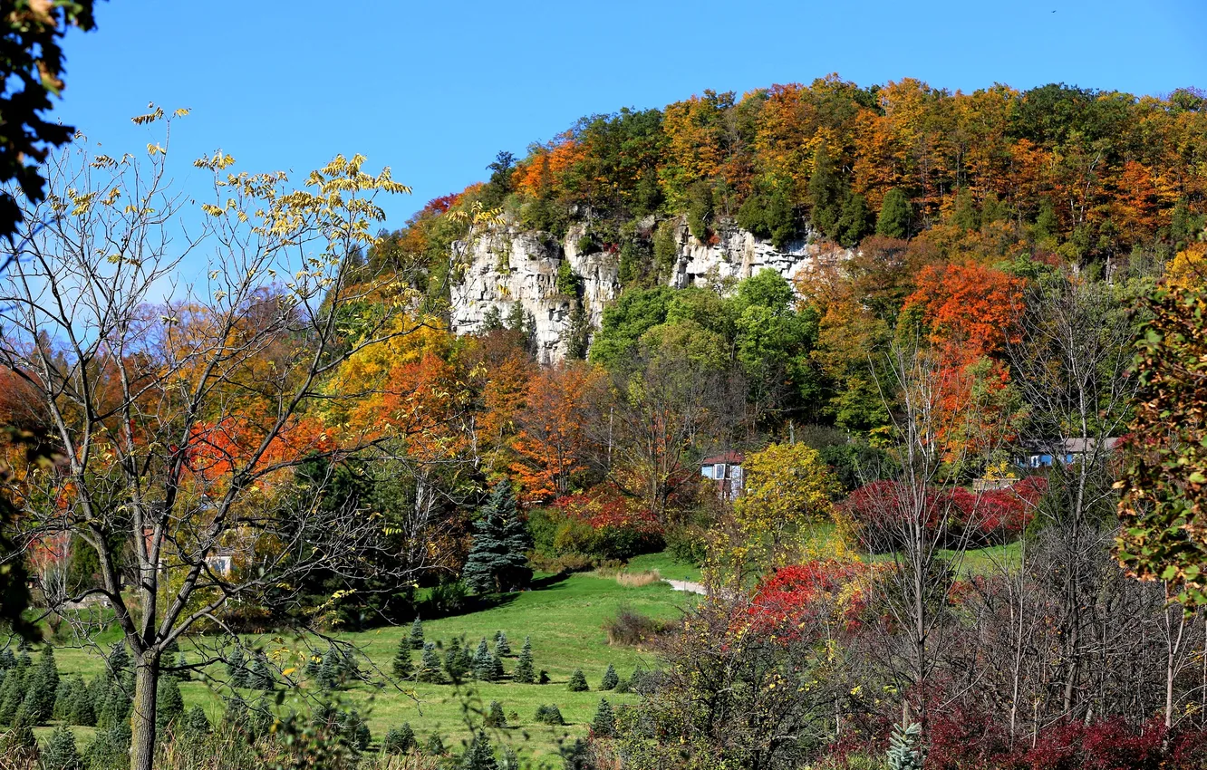 Photo wallpaper autumn, grass, trees, mountains, home, slope, Canada, Ontario