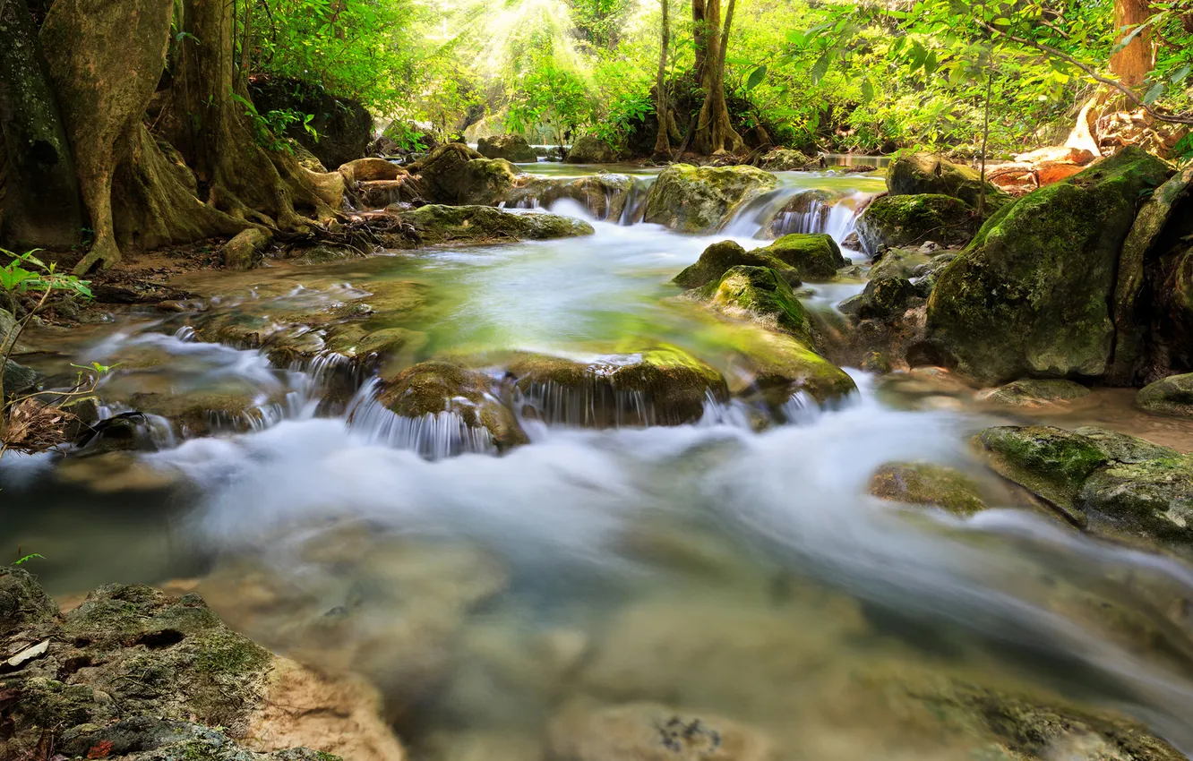 Photo wallpaper forest, the sun, trees, river, stones, waterfalls
