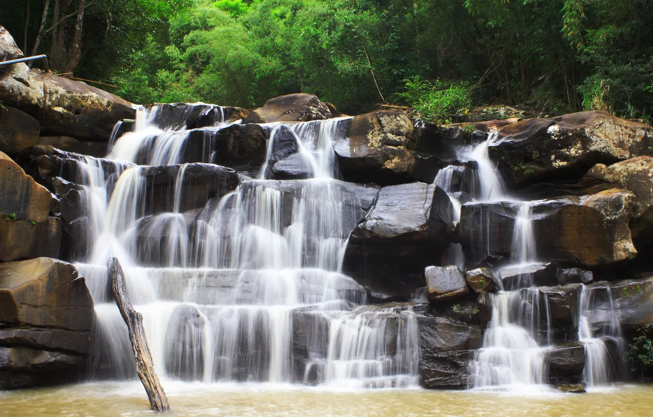 Photo wallpaper trees, nature, waterfall, trees, the nature, a waterfall