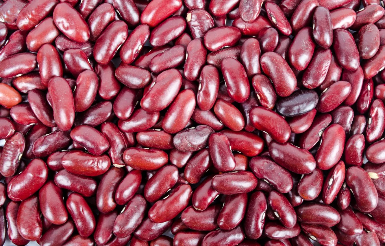 Photo wallpaper beans, cereals, agriculture