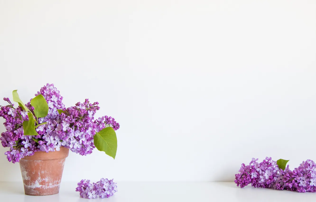 Photo wallpaper flowers, bouquet, lilac